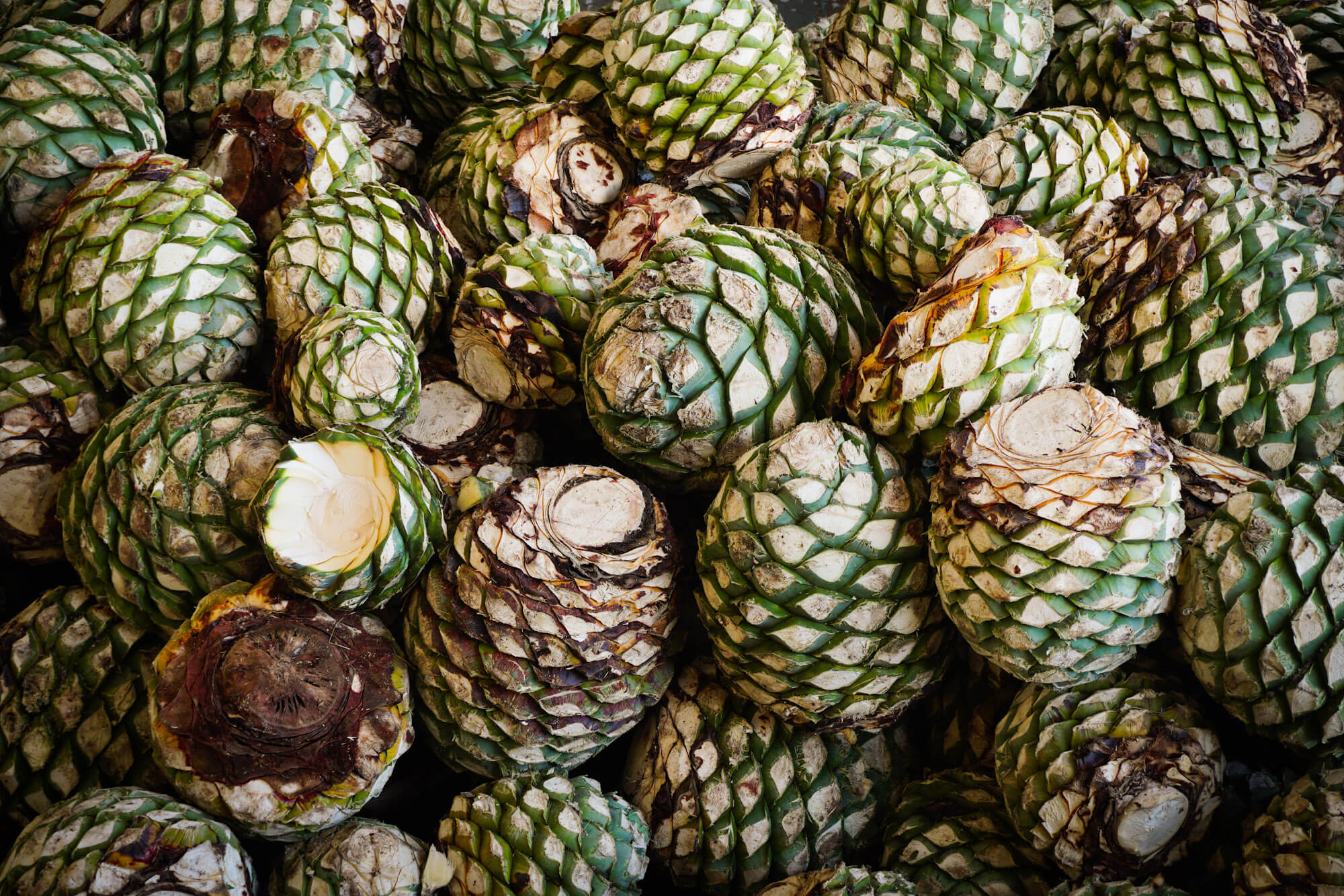 distilled-with-pineapple-guerra-mezcal